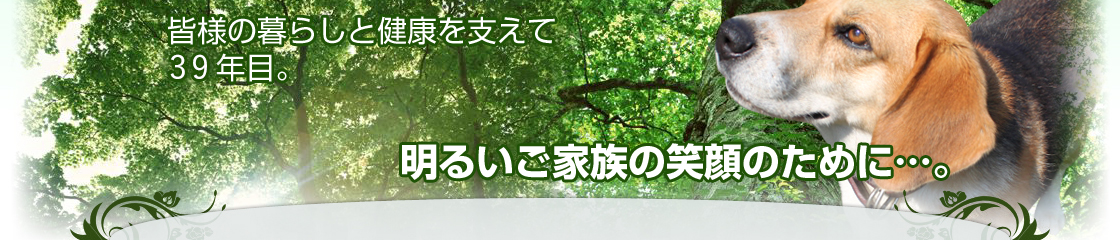 Fl̕炵ƌNx33NځB 邢Ƒ̏Ί̂߂…B